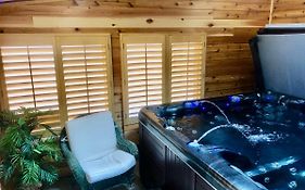 Blue Bear Den 3Br 2Ba Dtc Private Apt Hot Tub
